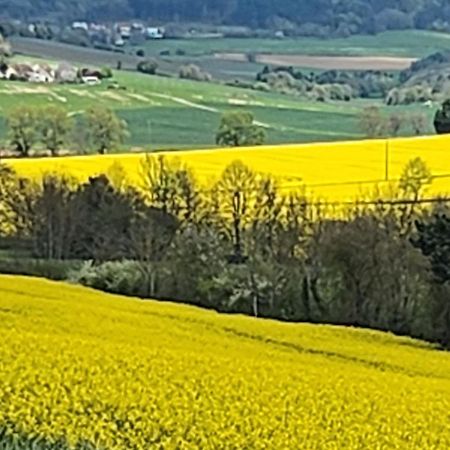 Vosne-Romanée La Layotte 빌라 외부 사진